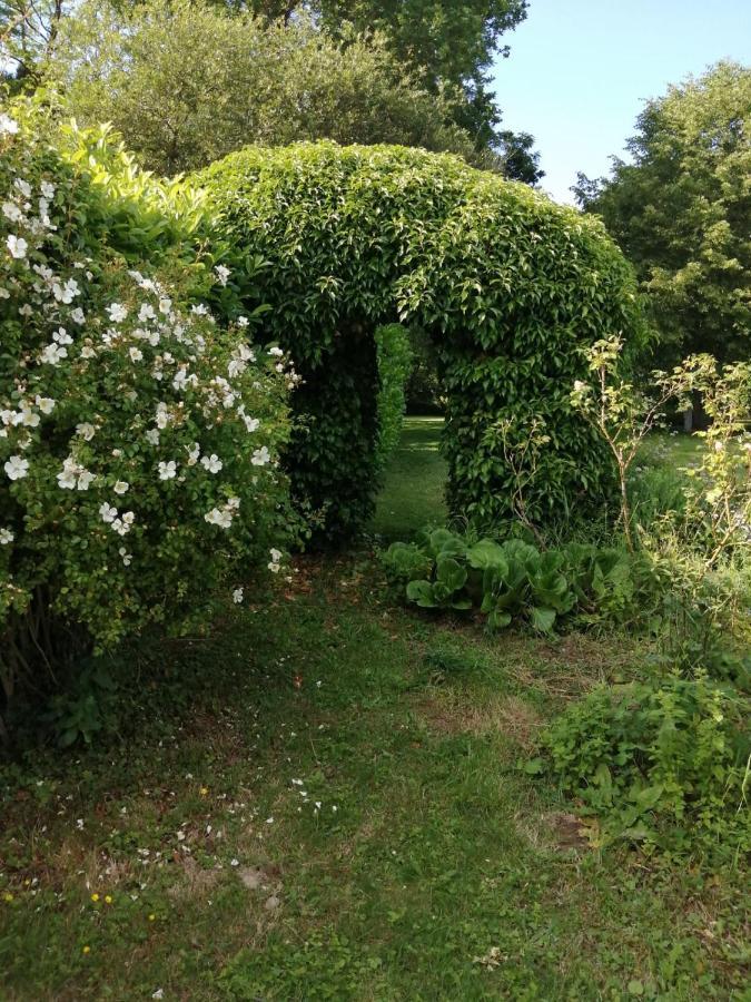 Yvignac-la-Tour Les Berges De La Planchette B&B 외부 사진