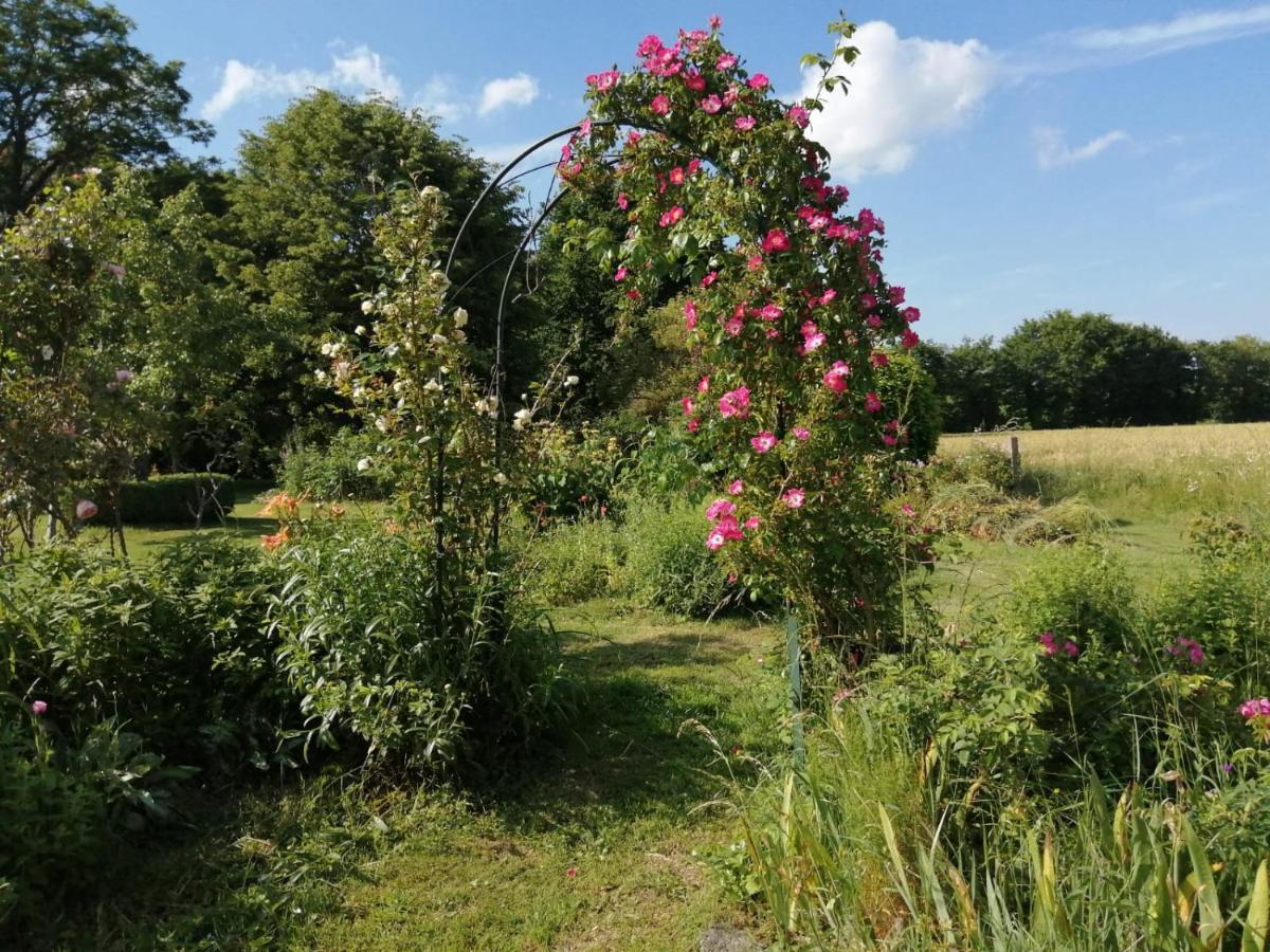 Yvignac-la-Tour Les Berges De La Planchette B&B 외부 사진